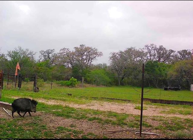 10423 State Highway 21 W, Crockett, TX 75835