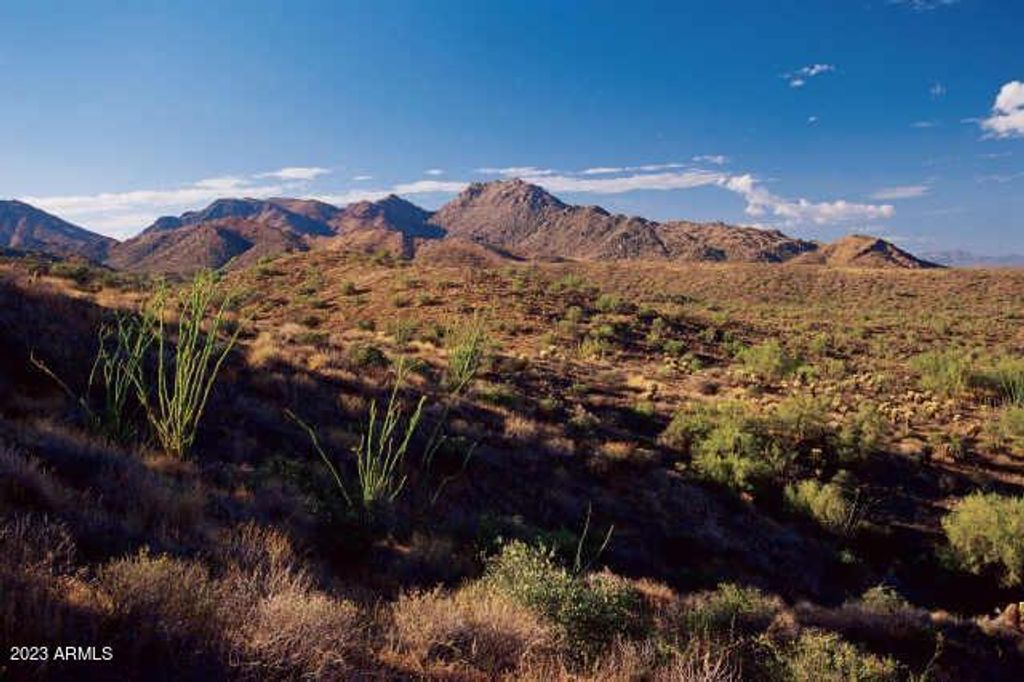 Image 1 of property listing at 14433 E DESERT TORTOISE Trail 24, Fountain Hills, AZ 85268
