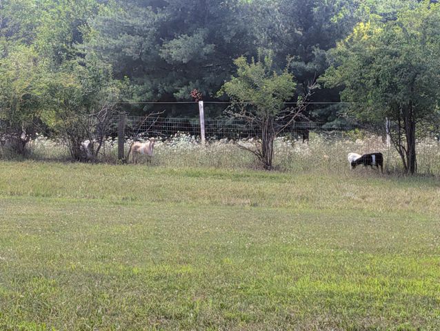 438 FOREST LN, Shoemakersville, PA 19555