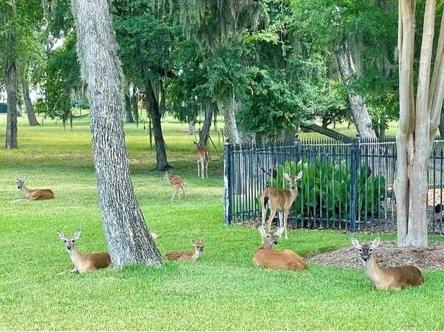 9003 Knightwood Court, Richmond, TX 77469