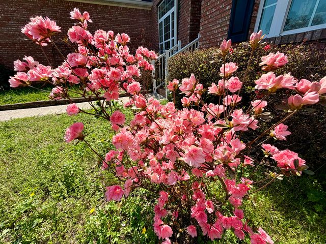 2603 Sweet Bay Circle NW, Cleveland, TN 37312