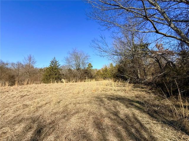 1164 Mountain Spring Road, Delaware, AR 72835