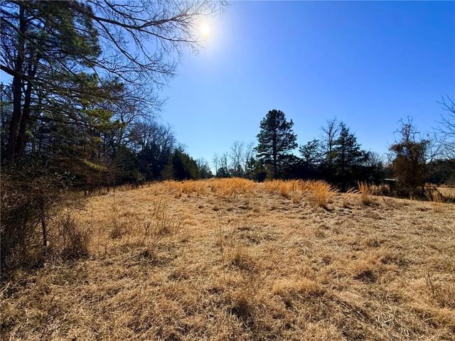 1164 Mountain Spring Road, Delaware, AR 72835