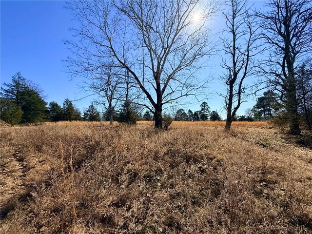 1164 Mountain Spring Road, Delaware, AR 72835