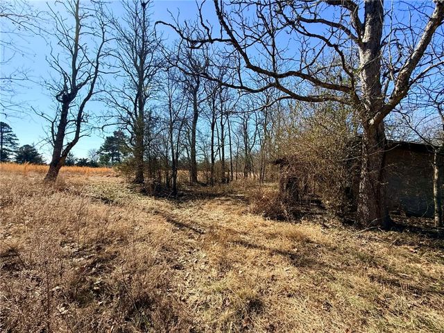 1164 Mountain Spring Road, Delaware, AR 72835