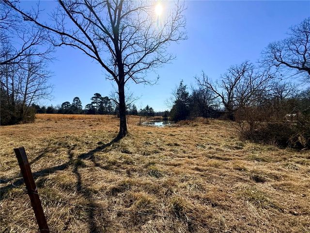 1164 Mountain Spring Road, Delaware, AR 72835