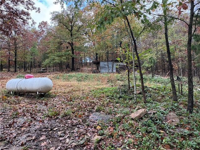 18995 Skylight Mountain Road, Canehill, AR 72717