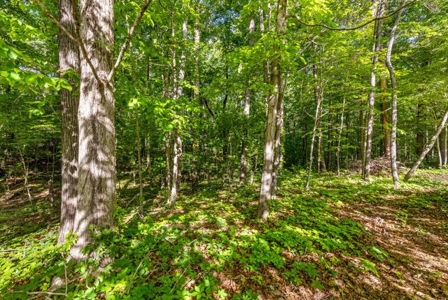 8119 Mill Creek Road, Signal Mountain, TN 37377