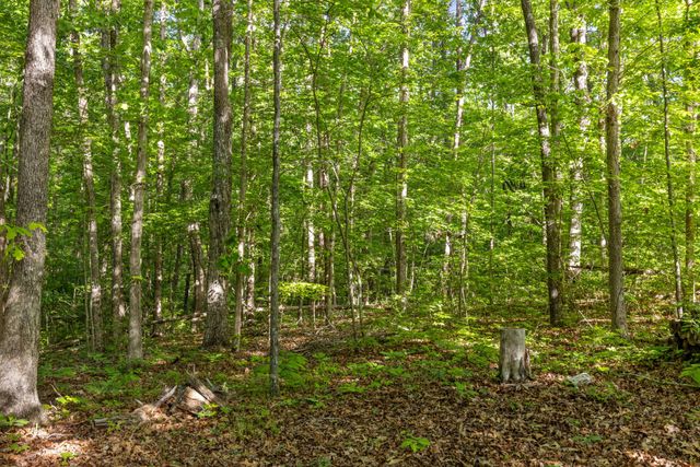 8119 Mill Creek Road, Signal Mountain, TN 37377