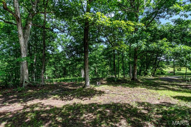 2099 Thunderbluff Road, St Clair, MO 63077