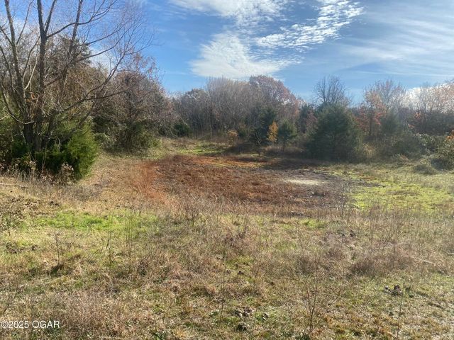 15845 Falcon Road, Neosho, MO 64850