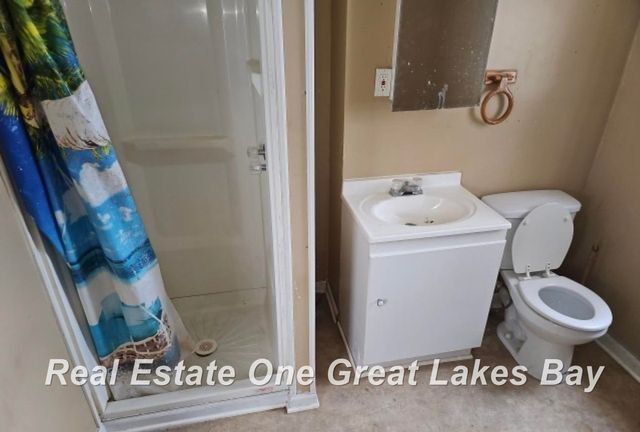 123 Clark Street, Chesaning, MI 48616