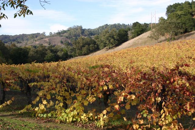 6790 Redwood Retreat Road, Gilroy, CA 95020