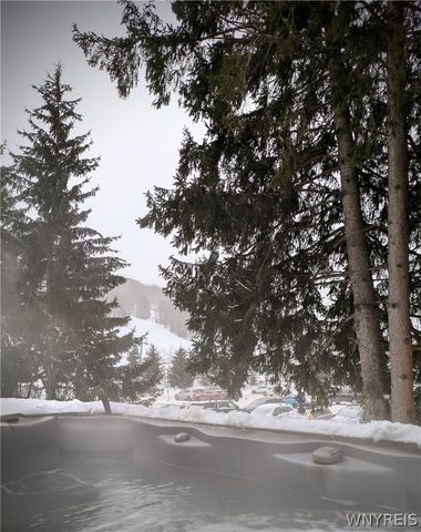 29 Holimont 29, Ellicottville, NY 14731