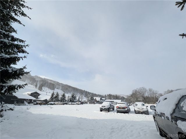 29 Holimont 29, Ellicottville, NY 14731