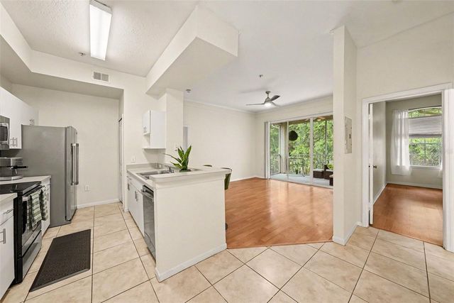 17108 CARRINGTON PARK DR 722, Tampa, FL 33647