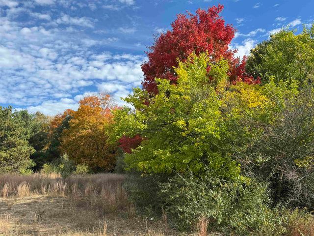 4.2 Acres January Drive, Traverse City, MI 49684