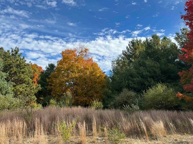 4.2 Acres January Drive, Traverse City, MI 49684