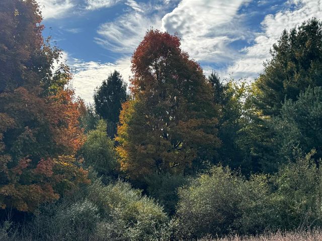 4.2 Acres January Drive, Traverse City, MI 49684