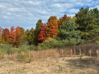 4.2 Acres January Drive, Traverse City, MI 49684