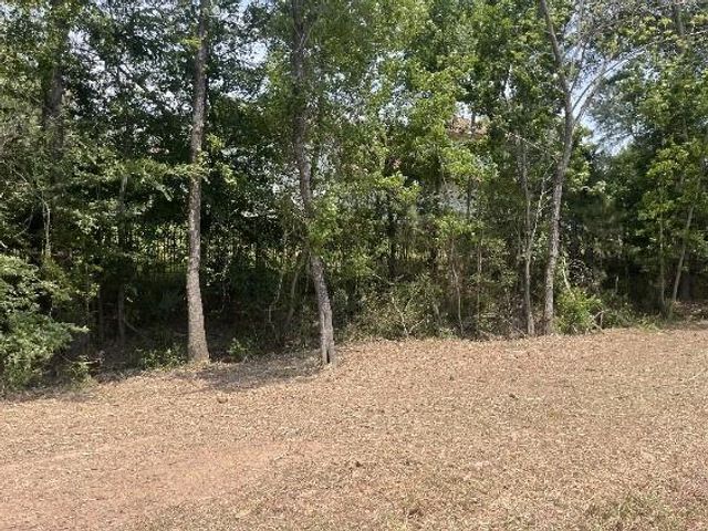 28435 Mendecino Glen Lane, Houston, TX 77336