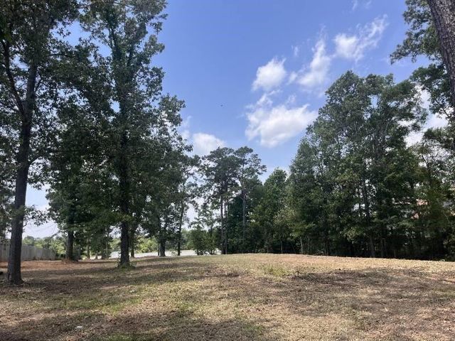 28435 Mendecino Glen Lane, Houston, TX 77336