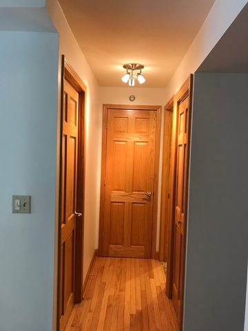 195 N HARBOR Drive 207, Chicago, IL 60601