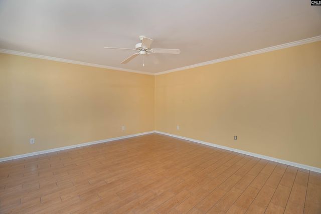 171 Elm Creek Drive, Chapin, SC 29036