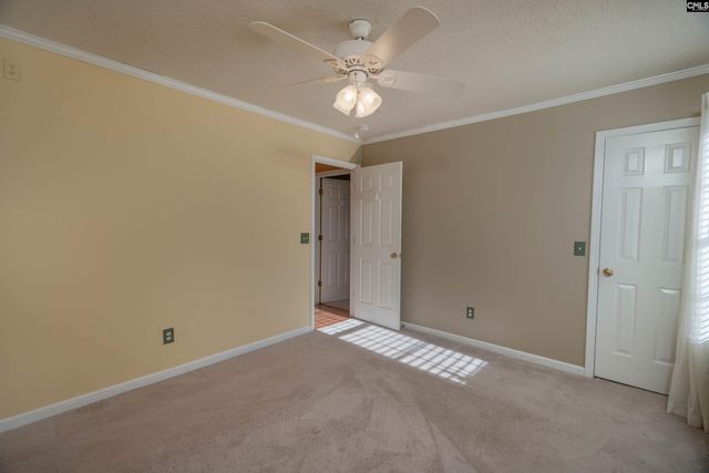 171 Elm Creek Drive, Chapin, SC 29036