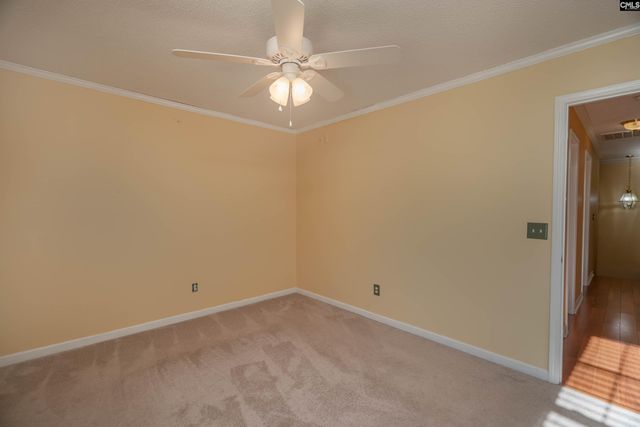 171 Elm Creek Drive, Chapin, SC 29036