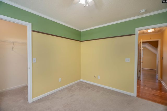 171 Elm Creek Drive, Chapin, SC 29036