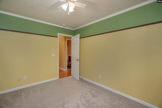 171 Elm Creek Drive, Chapin, SC 29036