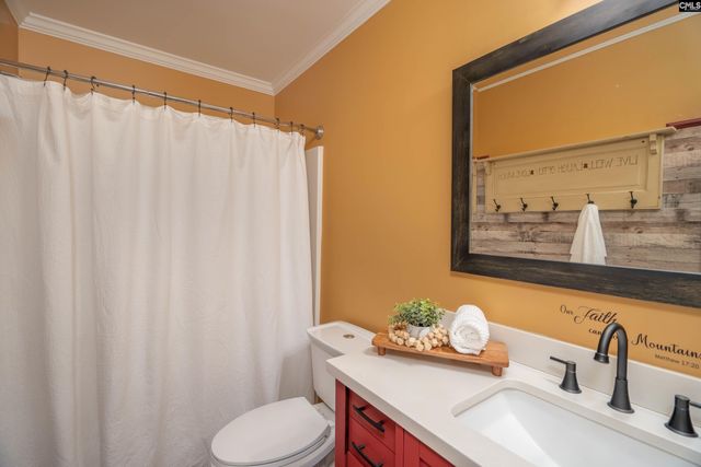 171 Elm Creek Drive, Chapin, SC 29036