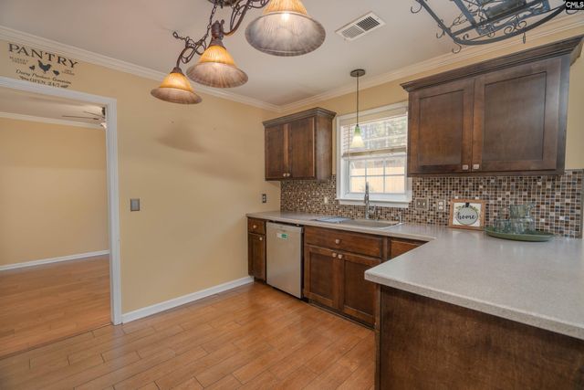 171 Elm Creek Drive, Chapin, SC 29036