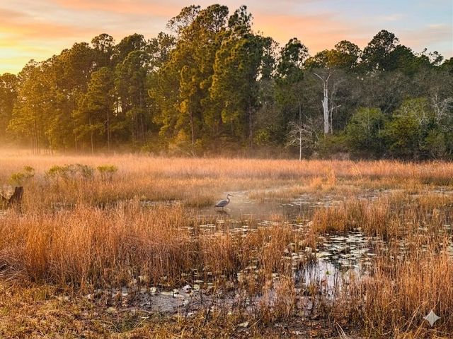 39641 ROYAL TRAILS ROAD, Eustis, FL 32736