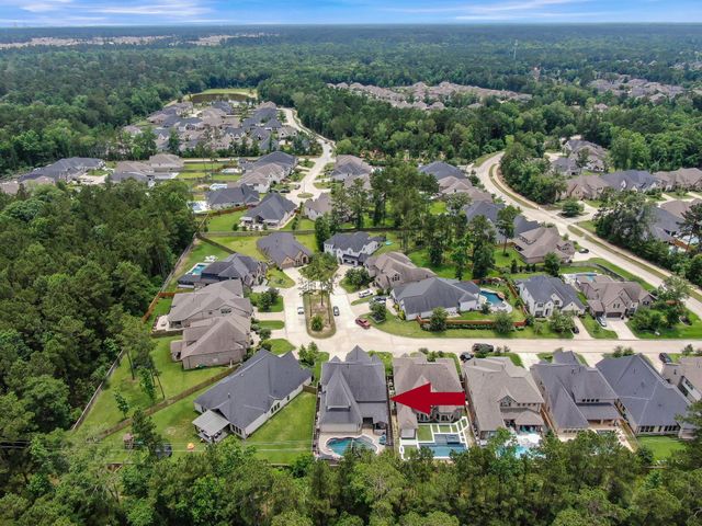 275 Bronze View Drive, Montgomery, TX 77316