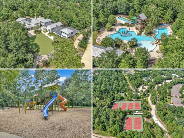 275 Bronze View Drive, Montgomery, TX 77316