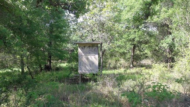 00 Private Road 1581 Road, Hallettsville, TX 77964