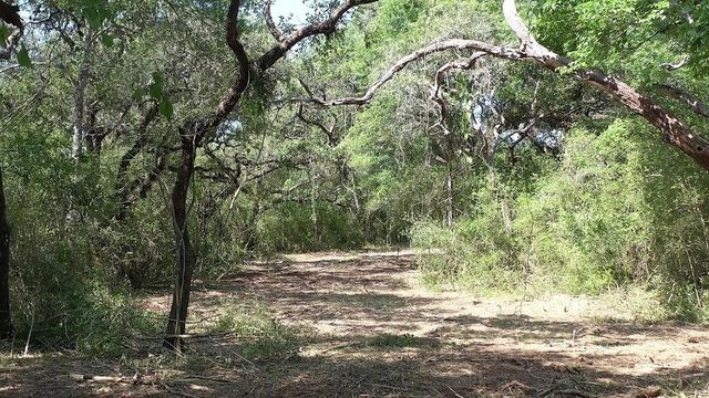 00 Private Road 1581 Road, Hallettsville, TX 77964