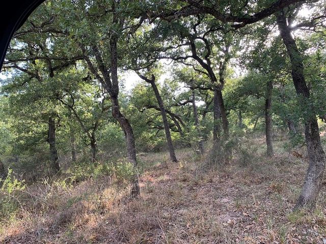 00 Private Road 1581 Road, Hallettsville, TX 77964
