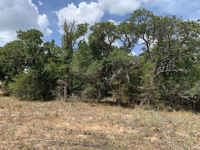 00 Private Road 1581 Road, Hallettsville, TX 77964