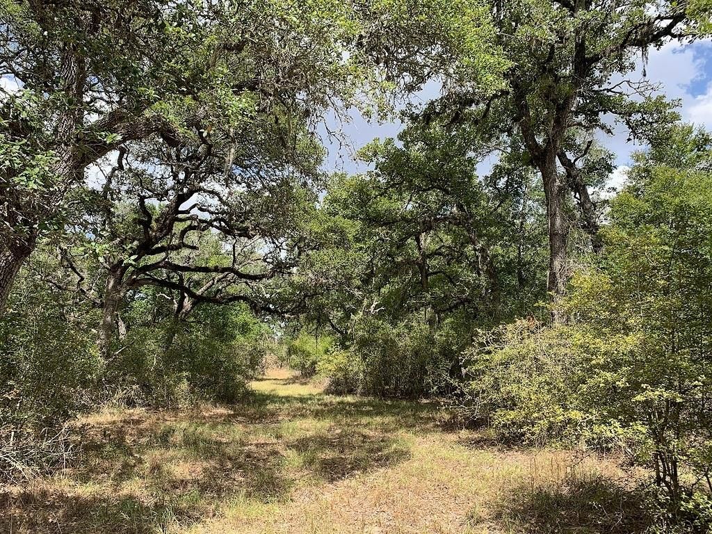 00 Private Road 1581 Road, Hallettsville, TX 77964