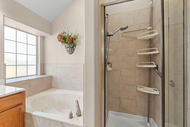 15246 Scenic Woodland Drive, Conroe, TX 77384