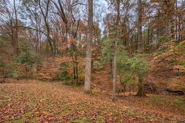 17 Oaklana, Tuscaloosa, AL 35406