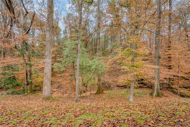 17 Oaklana, Tuscaloosa, AL 35406