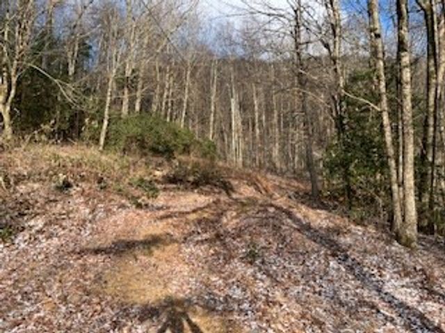 0 Gainesville Hwy, Blairsville, GA 30512