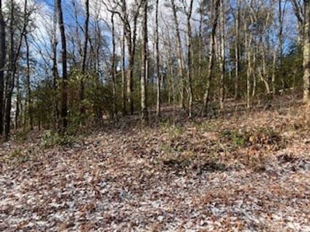 0 Gainesville Hwy, Blairsville, GA 30512