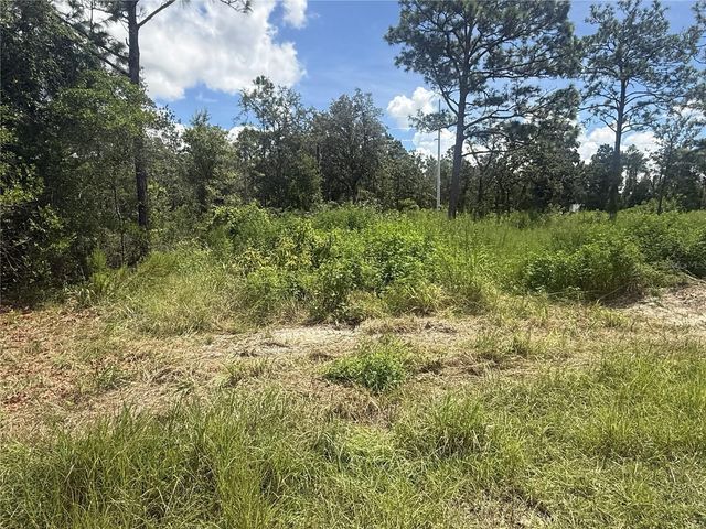 12220 MARVELWOOD ROAD, Weeki Wachee, FL 34614