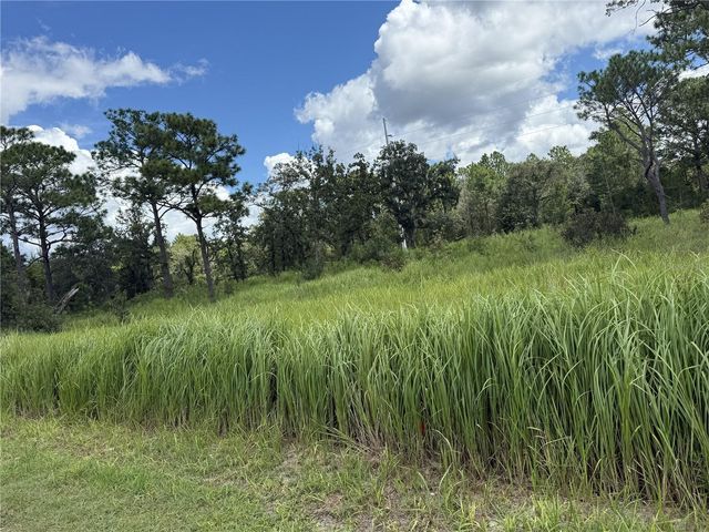 12220 MARVELWOOD ROAD, Weeki Wachee, FL 34614