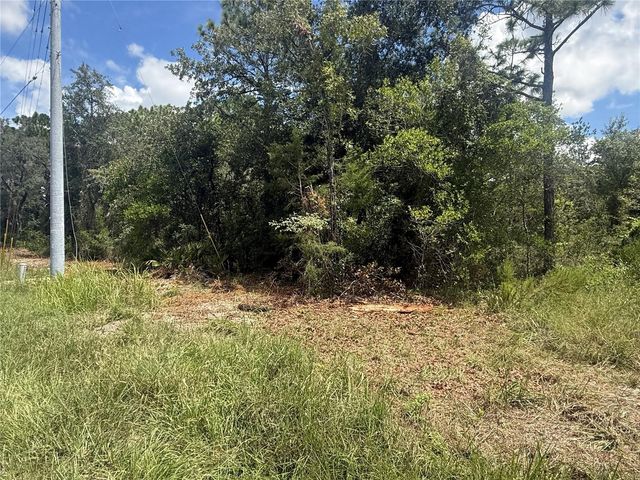 12220 MARVELWOOD ROAD, Weeki Wachee, FL 34614